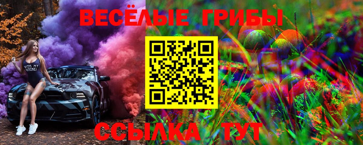 Псилоцибиновые грибы Magic Shrooms  Галлюциногенные грибы GOLDEN TEACHER  цены   Десногорск  Вход с VPN 